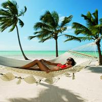 Отзыв от Арина - DTV виза